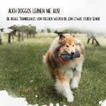 Rudelkönig Futterbeutel für Hundetraining, Robuster Apportierbeutel für Leckerlies, Dummy zur Hundeerziehung – Bild 3