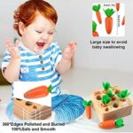 XIAPIA Holzspielzeug ab 1 Jahr, Baby Motorik Spielzeug für 12 Monate Jungen und Mädchen, Montessori Sortierspiel Holzpuzzle Karottenernte, Lernspielzeug für Kinder als Geburtztag Geschenk – Bild 5