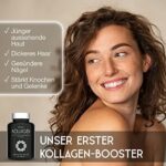 Kollagen Kapseln Hochdosiert - 2400 mg Meereskollagen mit Hyaluronsäure und Vitamin C - 120 Kapseln - Premium Marine Collagen Hydrolysat Peptide Typ 1 - Hyaluron Kollagen Komplex für Haut & Gelenke = – Bild 2