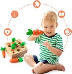 XIAPIA Holzspielzeug ab 1 Jahr, Baby Motorik Spielzeug für 12 Monate Jungen und Mädchen, Montessori Sortierspiel Holzpuzzle Karottenernte, Lernspielzeug für Kinder als Geburtztag Geschenk – Bild 3