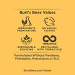 Burt's Bees Lippenschimmer, 1er Pack – Bild 7