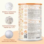 Collagen mit Elastin und Hyaluronsäure - Kollagen Hydrolysat Peptide Type I, II und III - 450 Gramm Pulver – Bild 2
