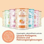 Collagen mit Elastin und Hyaluronsäure - Kollagen Hydrolysat Peptide Type I, II und III - 450 Gramm Pulver – Bild 8