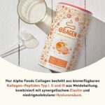 Collagen mit Elastin und Hyaluronsäure - Kollagen Hydrolysat Peptide Type I, II und III - 450 Gramm Pulver – Bild 5