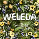WELEDA Bio Skin Food Lip Butter, Naturkosmetik Lippenpflege aus Bienenwachs & Sonnenblumenöl bei trockenen Lippen, macht spröde Lippen weich und zart – Bild 7