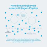 Vital Proteins Collagen Peptides (264 g / 587 g) – Hydrolysiertes Kollagen Typ I & III, geschmacksneutral, für Haut, Haare und Nägel – Bild 7