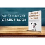 Rudelkönig Futterbeutel für Hundetraining, Robuster Apportierbeutel für Leckerlies, Dummy zur Hundeerziehung – Bild 7