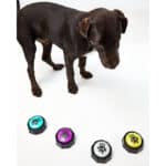 Dog Talk Aufnehmbare Trainingssummer, Knöpfe für das Sprachtraining von Hunden und Welpen Trainieren Sie Ihren Hund,Knöpfe zu drücken und zu Sagen, was er Will – Bild 2