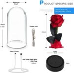 Die Schöne und das Biest Rose Geschenk Kit, rote Seide Rose und LED-Licht mit gefallenen Blütenblättern Geschenke für Hauptdekor Geburtstag, Hochzeit, Valentinstag, Muttertag, Jubiläum, Weihnachtstag – Bild 8
