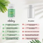 Vitabay Vitamin D3 Depot 20000 I.E. | 120 vegane hochdosierte Tabletten | Bioverfügbar | Sonnenvitamin | Laborgeprüft & hergestellt aus hochwertigen Rohstoffen – Bild 4