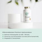 Hyaluronsäure Kapseln hochdosiert mit 500 mg pro Kapsel, 90 vegane Hyaluron Kapseln im 3 Monatsvorrat, 500-700 kDa, Angereichert mit Zink als Beitrag zum Erhalt normaler Haut und Knochen – Bild 3
