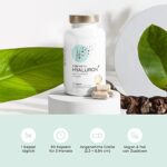 Hyaluronsäure Kapseln hochdosiert mit 500 mg pro Kapsel, 90 vegane Hyaluron Kapseln im 3 Monatsvorrat, 500-700 kDa, Angereichert mit Zink als Beitrag zum Erhalt normaler Haut und Knochen – Bild 2