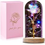 QUNPON Geschenke für Frauen, Valentinstag Rose Geschenk für Sie, Ewige Rose im Glas Die Schöne und das Biest Rose in Glaskuppel mit LED-Lichter, Geschenke für Geburtstag Mama Freundin Oma