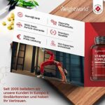 Vitamin B Komplex mit Vitamin C - 50µg Vitamin B12 pro Tablette - 365 Vegane Tabletten (1 Jahr Vorrat) - Alle 8 B Vitamine - 150µg Biotin, 200µg Folsäure - Gut verträglich & bioverfügbar - WeightWorld – Bild 5