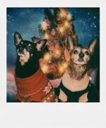 Polaroid Originals - Sofortbildfilm Fabre i-Type Kamera – Bild 6