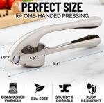 Zulay Kitchen Premium knoblauchpresse mit Soft-Easy-Squeeze ergonomischer Griff, robuste Design-extrakte mehr Knoblauch-Paste pro nelke, Knoblauch Crusher für nüsse und samen, Profi Knoblauch Mincer – Bild 3