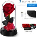 Die Schöne und das Biest Rose Geschenk Kit, rote Seide Rose und LED-Licht mit gefallenen Blütenblättern Geschenke für Hauptdekor Geburtstag, Hochzeit, Valentinstag, Muttertag, Jubiläum, Weihnachtstag – Bild 4
