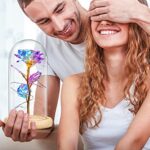 QUNPON Geschenke für Frauen, Valentinstag Rose Geschenk für Sie, Ewige Rose im Glas Die Schöne und das Biest Rose in Glaskuppel mit LED-Lichter, Geschenke für Geburtstag Mama Freundin Oma – Bild 4