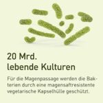 nupure probaflor - 11 Stämme - magensaftresistent - Kulturenkomplex mit Milchsäurebakterien und Bifidobakterien – Bild 4