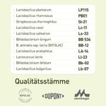 nupure probaflor - 11 Stämme - magensaftresistent - Kulturenkomplex mit Milchsäurebakterien und Bifidobakterien – Bild 5