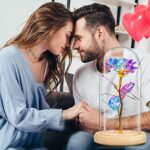 QUNPON Geschenke für Frauen, Valentinstag Rose Geschenk für Sie, Ewige Rose im Glas Die Schöne und das Biest Rose in Glaskuppel mit LED-Lichter, Geschenke für Geburtstag Mama Freundin Oma – Bild 7