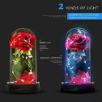 Die Schöne und das Biest Rose Geschenk Kit, rote Seide Rose und LED-Licht mit gefallenen Blütenblättern Geschenke für Hauptdekor Geburtstag, Hochzeit, Valentinstag, Muttertag, Jubiläum, Weihnachtstag – Bild 3