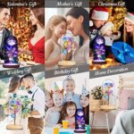 QUNPON Geschenke für Frauen, Valentinstag Rose Geschenk für Sie, Ewige Rose im Glas Die Schöne und das Biest Rose in Glaskuppel mit LED-Lichter, Geschenke für Geburtstag Mama Freundin Oma – Bild 5