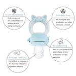 RIGHTWELL Fruchtsauger Set für Glückliche Babys, Helfender Freund für besonderes Geschmackserlebnis, Schmerzlindernder Beissring & Fruchtschnuller Zugleich – Bild 4