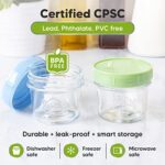 KeaBabies, 12 Pack Babynahrungsbehälter, Behälter mit Deckel, Glas Babynahrung Gläser, Babynahrung Aufbewahrungsbehälter Gefrierschrank Safe, Babynahrung Maker, Babynahrung Zubehör Set, Babykugel (Nord) – Bild 2