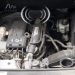 Gardigo® Marderschreck Marder-Frei Mobil | 25 Jahre Erfahrung mit Marderabwehr | Marderschreck Auto Batteriebetrieben | Marderschutz für KFZ, Motorraum, Dachboden, Haus, Garten – Bild 8