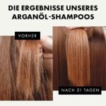 Eclat Skincare, BIO-Arganöl-Shampoo, 5X MEHR FEUCHTIGKEITSSPENDENDE OMEGA-6-FETTSÄUREN für geschmeidigeres, gesünderes Haar mit nährstoffreichem Jojoba- und Mandelöl – Bild 3
