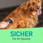 Maxpower Planet hundebürste - katzenbürste langhaar - unterwolle bürste hund - hunde kamm fellbürste - Haustierpflege fellbürste katzen - Beseitigt Tierhaarentferner katzenbürsten – Bild 5