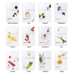 EUNYUL Daily Care Gesichtstuchmasken 12 Typen 22 ml x 10-12 Stück Koreanische Hautpflege Hypoallergenes Tencel-Blatt & natürliche Inhaltsstoffe – Bild 2