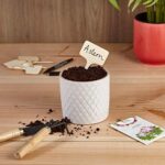 Holzschilder zum Beschriften Premium Holz Pflanzenstecker – Schöne Pflanzenschilder zum Beschriften wetterfest – Bild 3