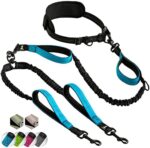 Doppelleine für Hunde zum Laufen, Joggen, Wandern | 2 in 1 Joggingleine und Normale Hundeleine für Grosse und Mittelgrosse Hunde mit Doppelgriff | Bauchgurt Hundeleine mit Reflektierenden Nähten