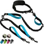 Doppelleine für Hunde zum Laufen, Joggen, Wandern | 2 in 1 Joggingleine und Normale Hundeleine für Grosse und Mittelgrosse Hunde mit Doppelgriff | Bauchgurt Hundeleine mit Reflektierenden Nähten