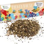 Premium Blumenmischung für Bienen und Schmetterlinge - 100g Blumensamen von OwnGrown