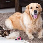 DakPets Hundebürste Unterwolle | Professionelle Bürste Hund oder Unterwolle Bürste Katze | Katzen und Hundebürste Langhaar | Edelstahl Unterfellbürste Hunde und Katzen – Bild 9