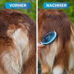 BluePet Doppeldecker Borsten &Pin Hundebürste & Katzenbürste | Entfilzen & Glätten | Hundekamm – Bild 3
