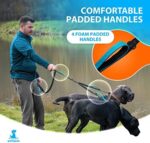 Doppelleine für Hunde zum Laufen, Joggen, Wandern | 2 in 1 Joggingleine und Normale Hundeleine für Grosse und Mittelgrosse Hunde mit Doppelgriff | Bauchgurt Hundeleine mit Reflektierenden Nähten – Bild 3