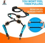 Doppelleine für Hunde zum Laufen, Joggen, Wandern | 2 in 1 Joggingleine und Normale Hundeleine für Grosse und Mittelgrosse Hunde mit Doppelgriff | Bauchgurt Hundeleine mit Reflektierenden Nähten – Bild 2