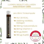 Luondu Beauty Kollagen Trinkampullen mit Hyaluronsäure (30 Ampullen mit 2500mg Premium Collagen flüssig) I Anti Aging* zum Trinken I Mit Biotin, Kupfer & Vitamin C, Blütenhonig & Gelée Royale – Bild 2