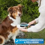 BluePet Doppeldecker Borsten &Pin Hundebürste & Katzenbürste | Entfilzen & Glätten | Hundekamm – Bild 4