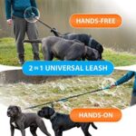 Doppelleine für Hunde zum Laufen, Joggen, Wandern | 2 in 1 Joggingleine und Normale Hundeleine für Grosse und Mittelgrosse Hunde mit Doppelgriff | Bauchgurt Hundeleine mit Reflektierenden Nähten – Bild 5