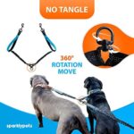 Doppelleine für Hunde zum Laufen, Joggen, Wandern | 2 in 1 Joggingleine und Normale Hundeleine für Grosse und Mittelgrosse Hunde mit Doppelgriff | Bauchgurt Hundeleine mit Reflektierenden Nähten – Bild 4