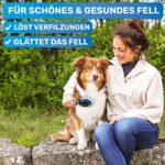 BluePet Doppeldecker Borsten &Pin Hundebürste & Katzenbürste | Entfilzen & Glätten | Hundekamm – Bild 2