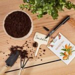 Holzschilder zum Beschriften Premium Holz Pflanzenstecker – Schöne Pflanzenschilder zum Beschriften wetterfest – Bild 7
