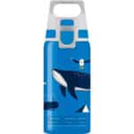 17 Blue Whale