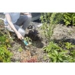 Gardena Unkrautstecher Ideales Gartenwerkzeug zum effektiven Entfernen von Unkraut, mit ergonomischem Griff, aus Qualitätsstahl, korrosionsgeschützt – Bild 4