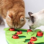 Nina Ottosson von Petstages Buggin Out Puzzle & Play - Interaktives Katzenspielzeug für Leckerlis – Bild 11